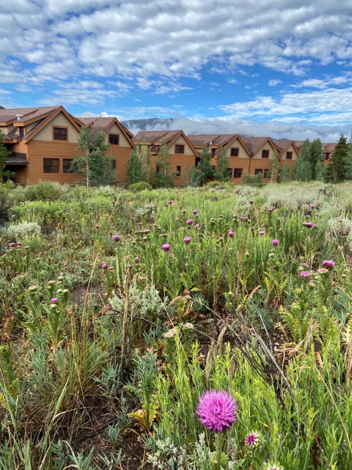 Antlers Gulch 303 By Summitcove Lodging Keystone Eksteriør billede